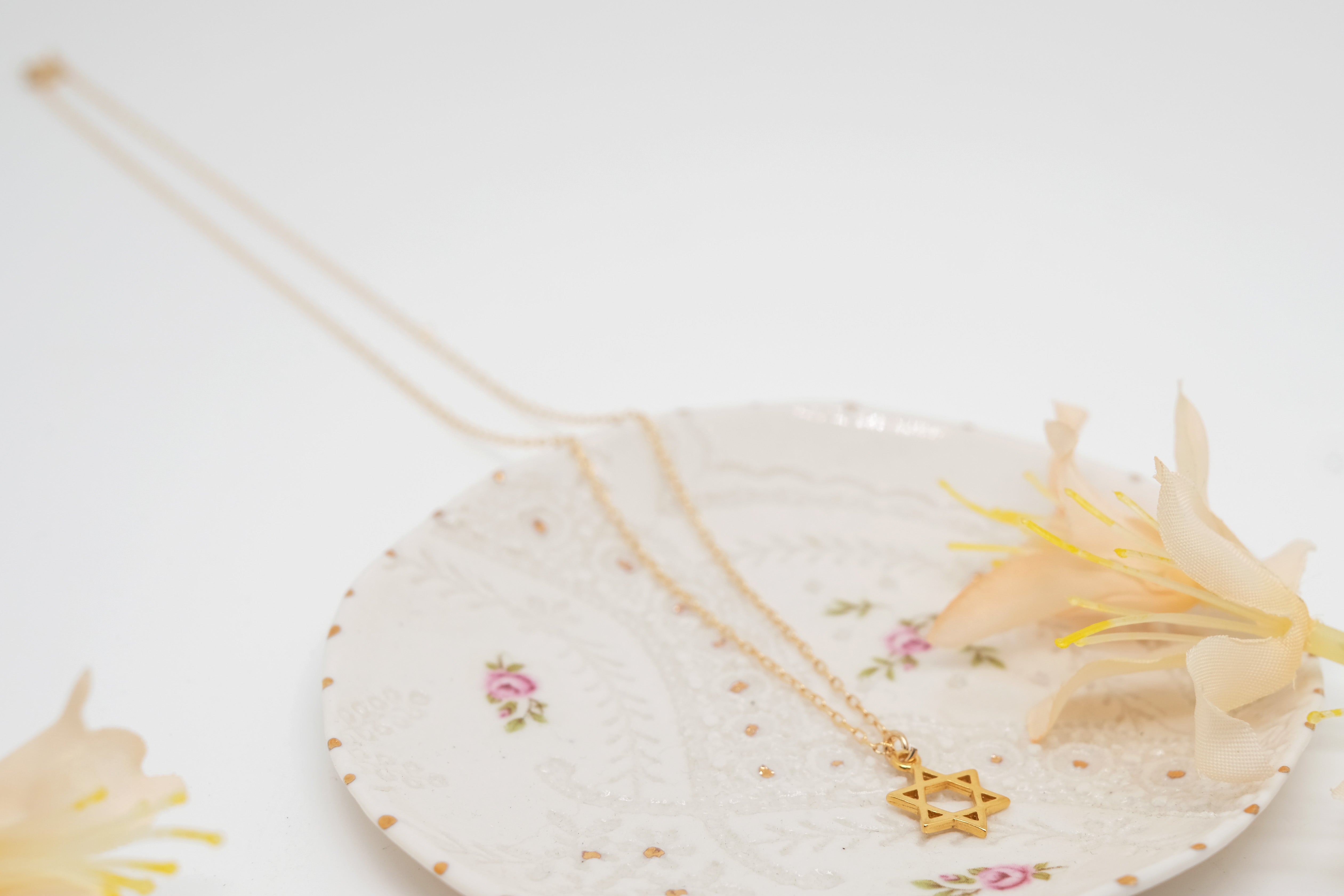 Star of David Radiance | Dainty Necklace