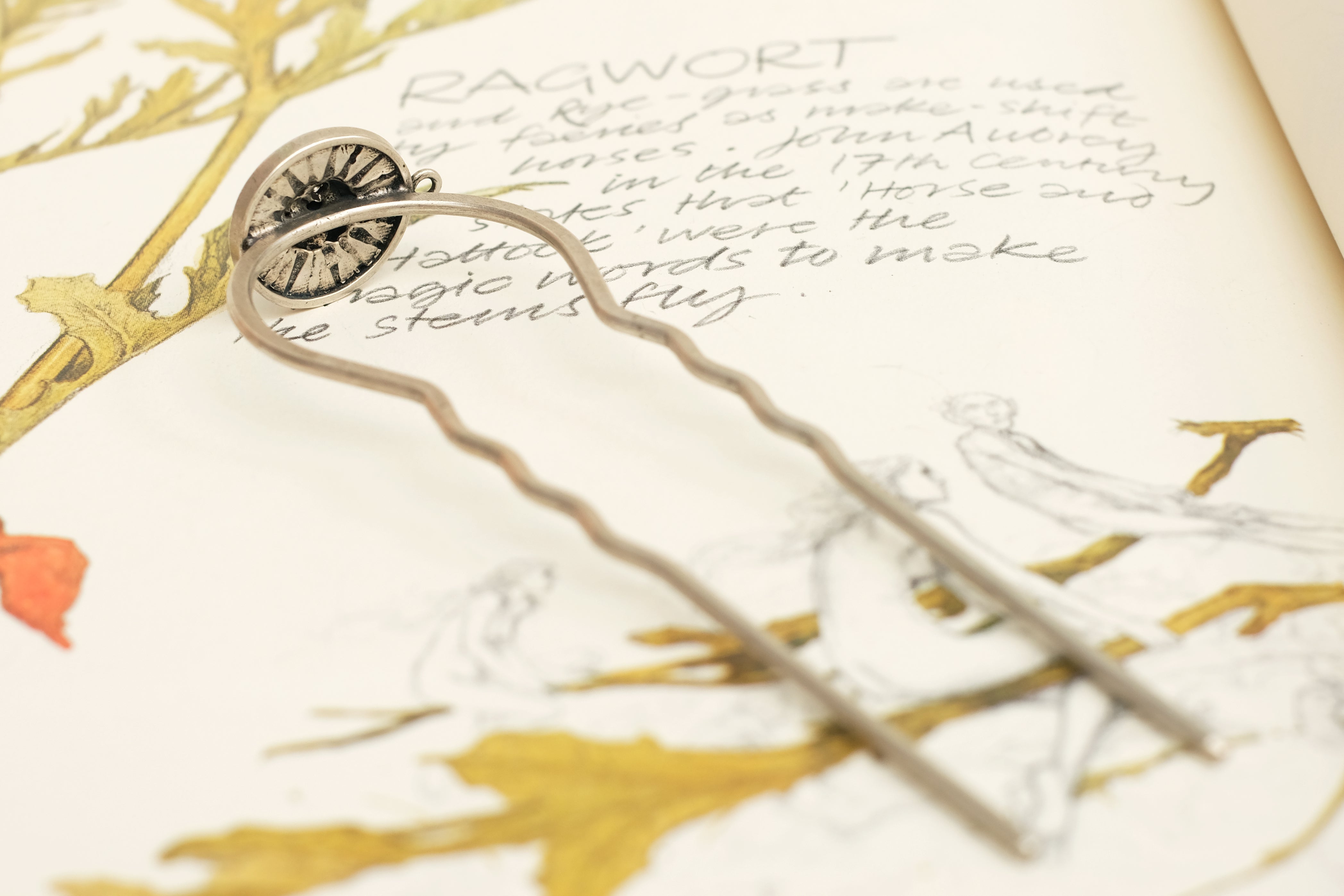 Sunny Coin | Prongs
