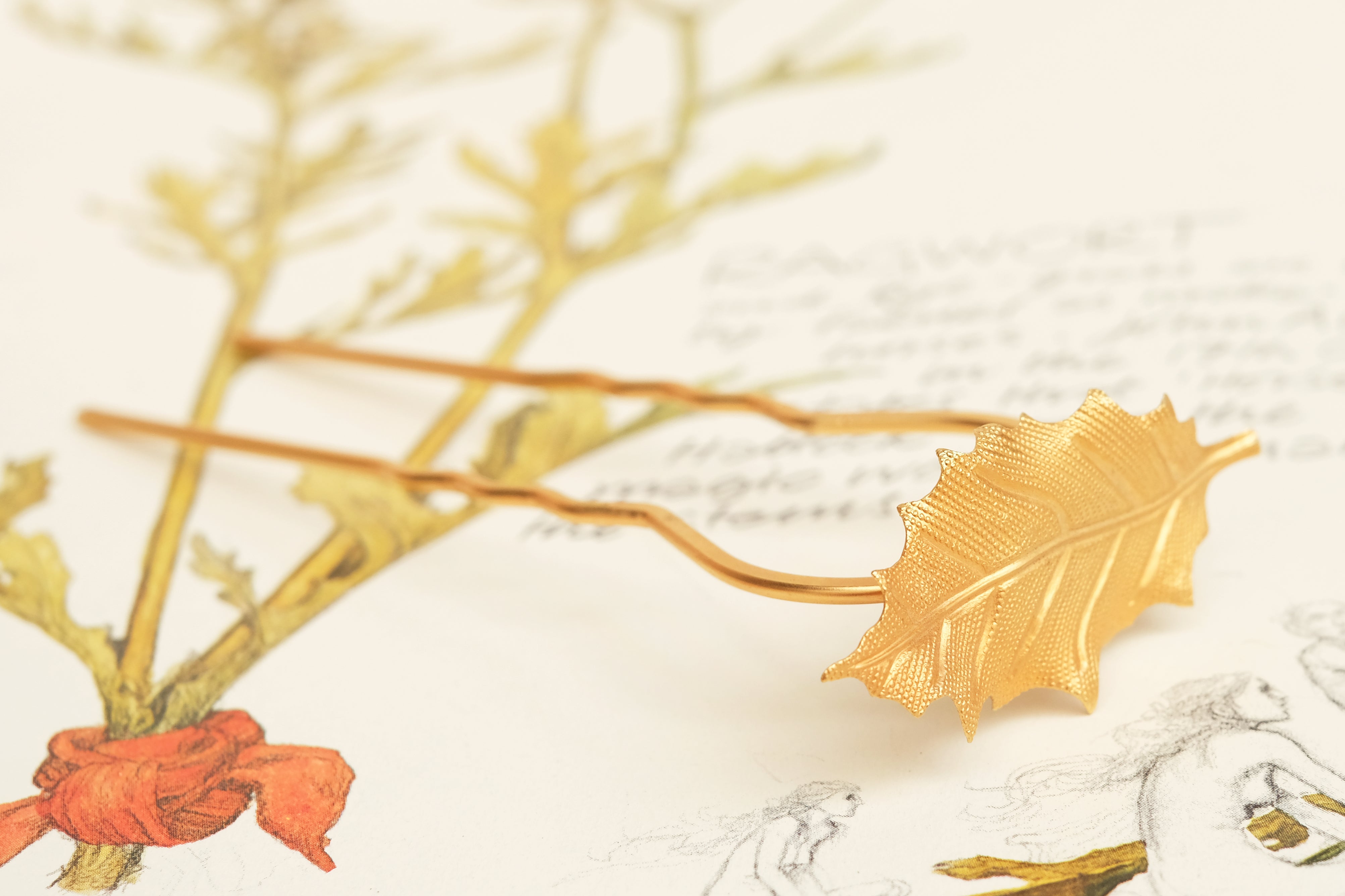Oak Small | Prongs