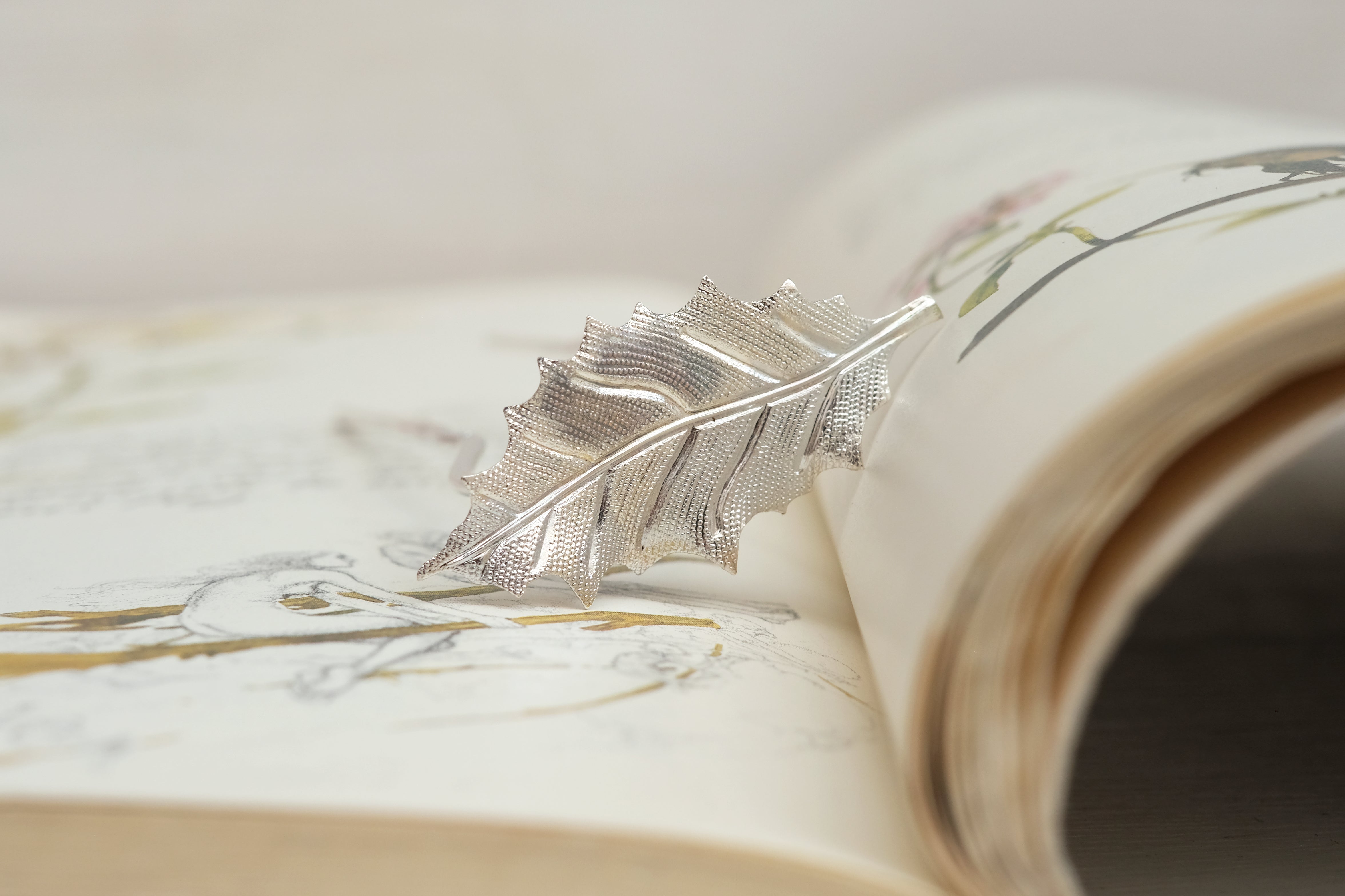 Oak Small | Prongs