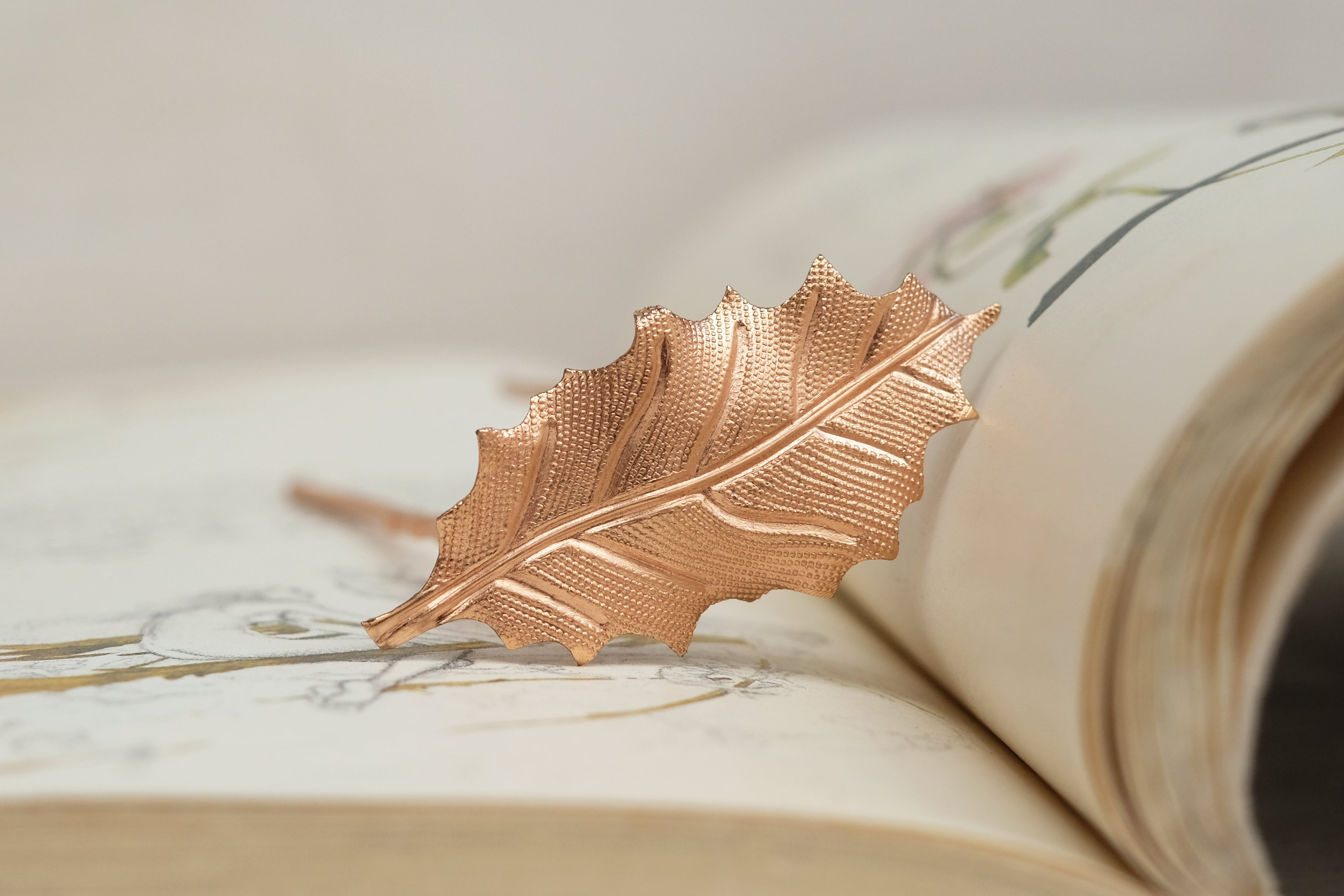Oak Small | Prongs