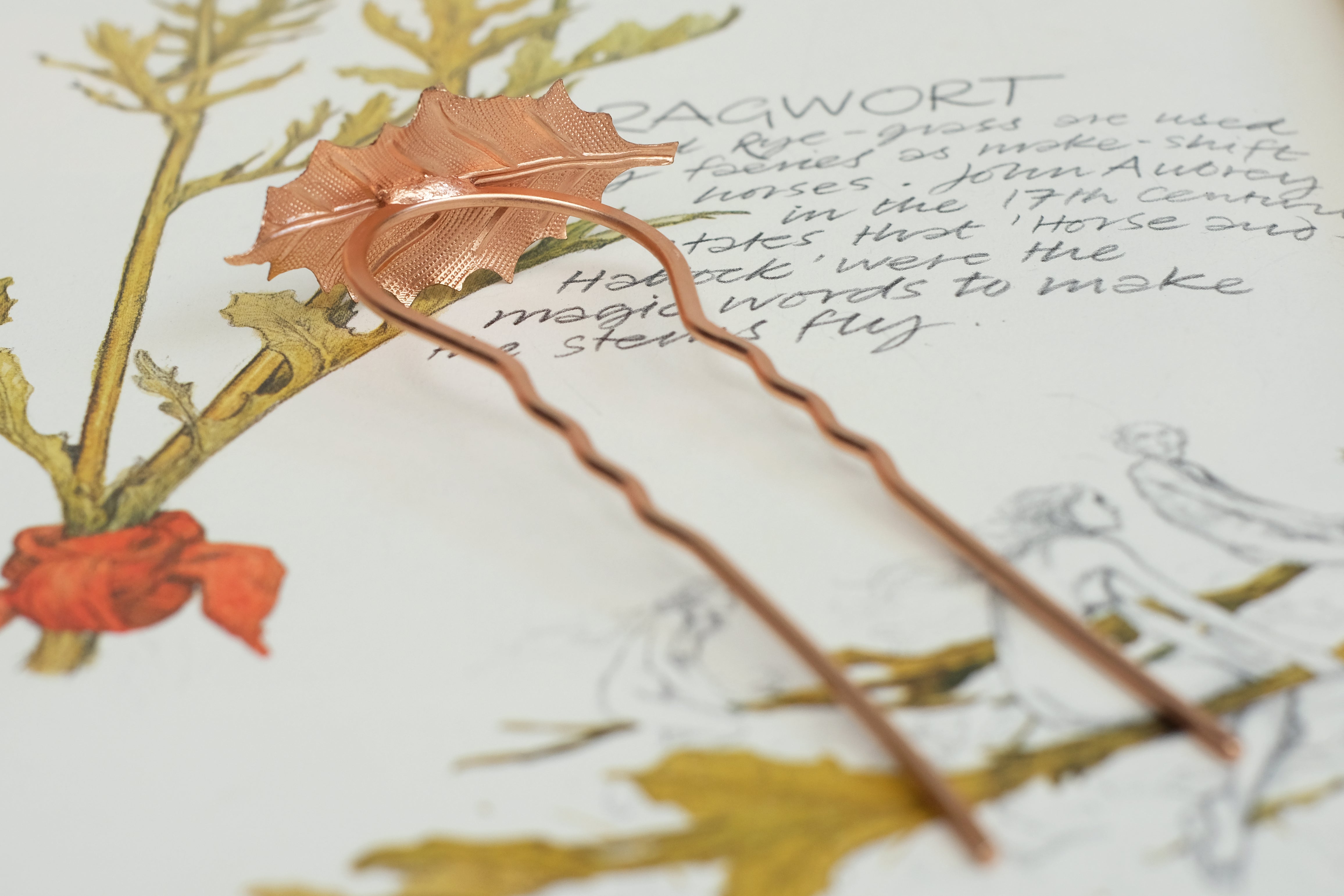 Oak Small | Prongs