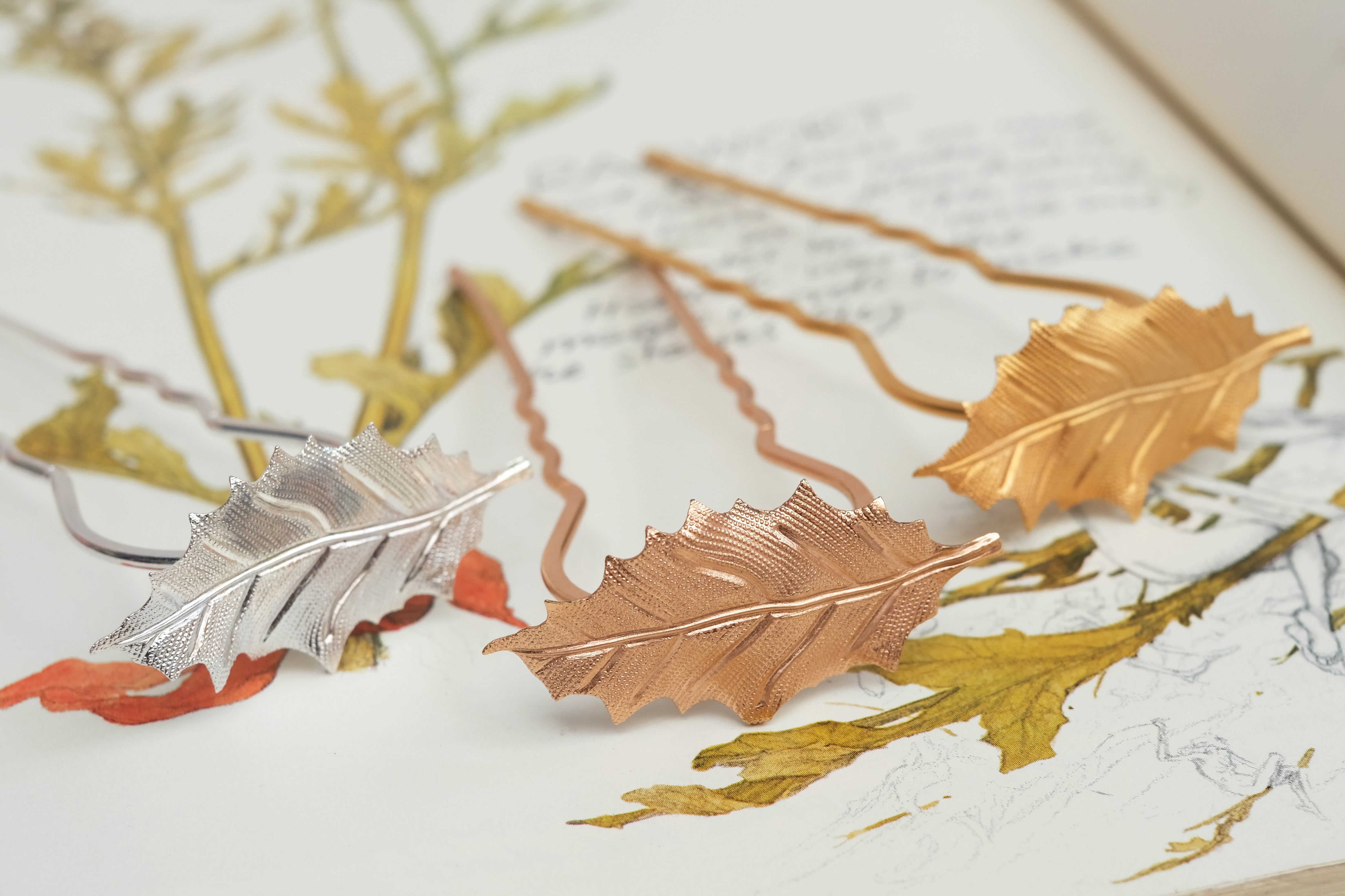 Oak Small | Prongs