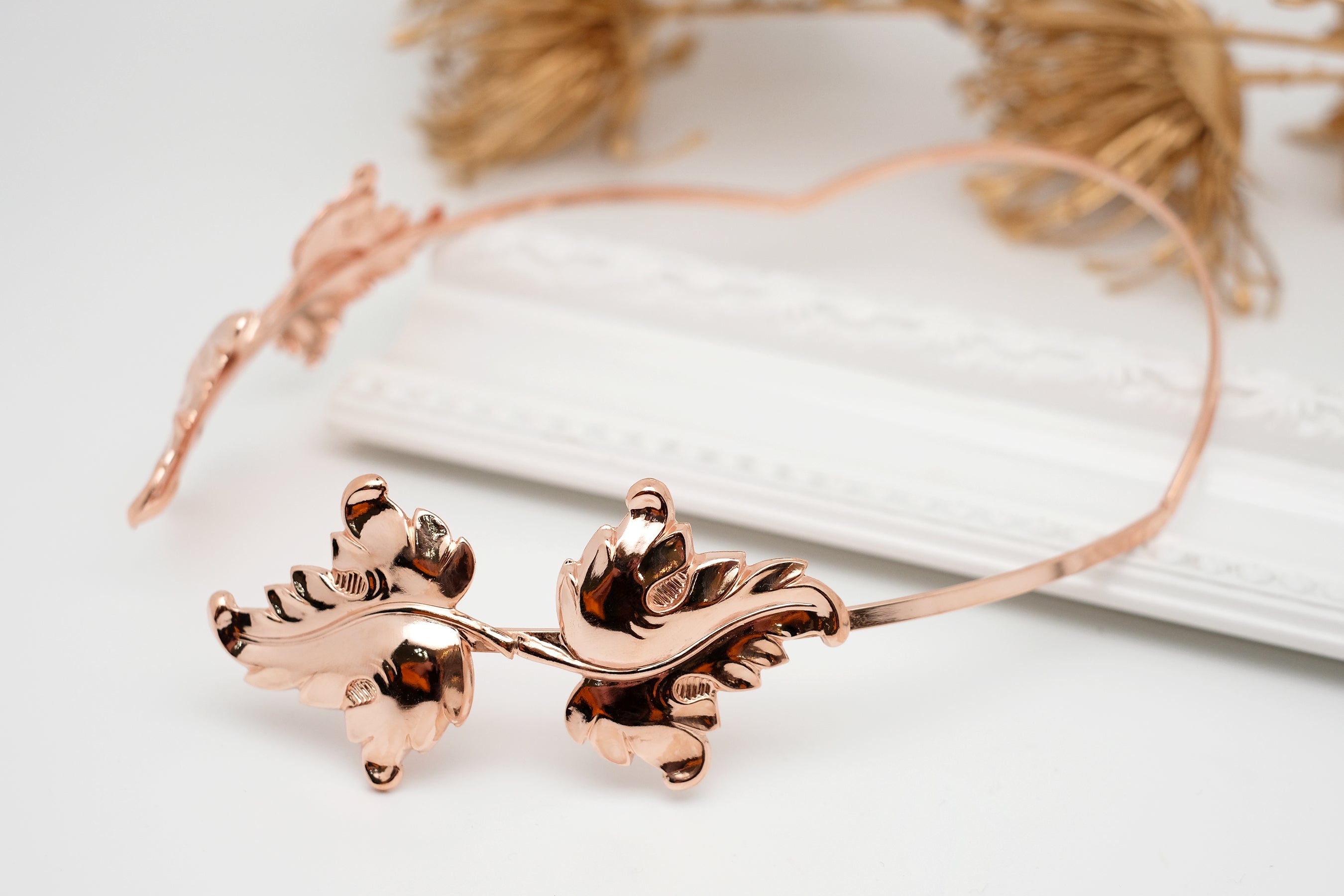 Fiddlers Leaf | Empress Crown